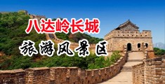 想把大几把塞比里中国北京-八达岭长城旅游风景区