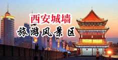 男的大鸡巴操女的小嫩逼中国陕西-西安城墙旅游风景区