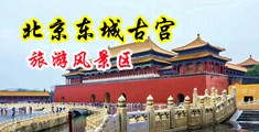 和小女孩透屄中国北京-东城古宫旅游风景区